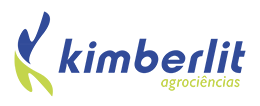 Kimberlit2